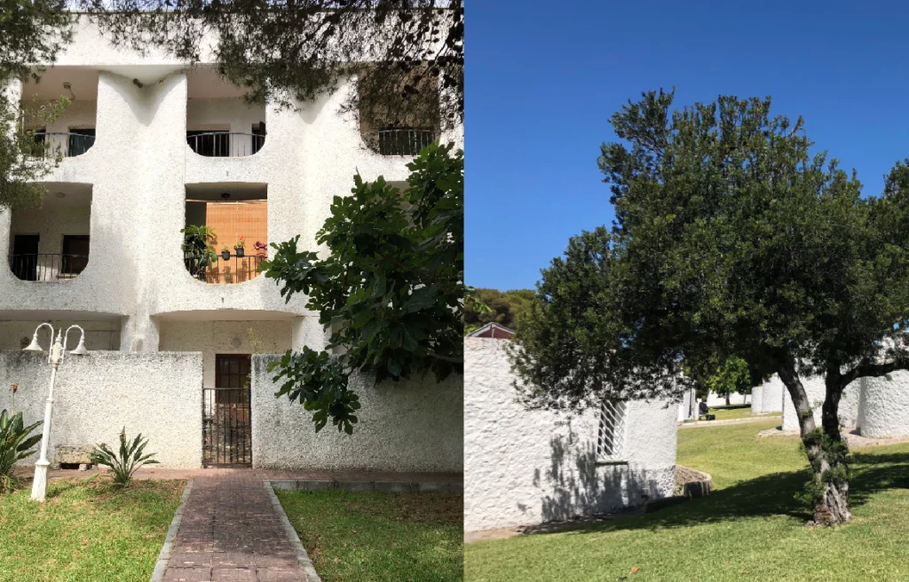 El debate urbanístico y social sobre la mítica Residencia de Tiempo Libre de Marbella